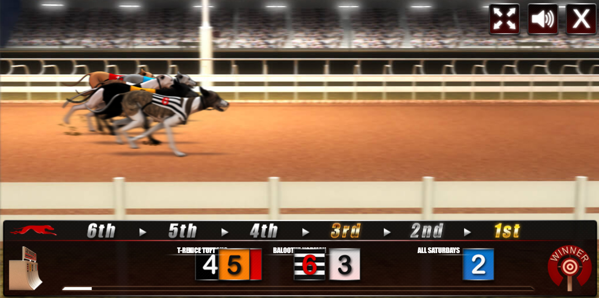 Virtual dog racing game