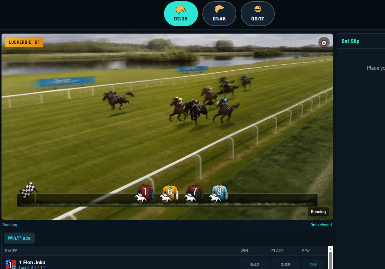 Sportwetten-Spiel für Pferderennen, Hunderennen und virtuelle Autorennen